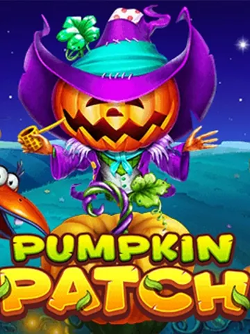 Pumpkin Patch